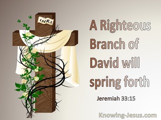 Jeremiah 33:15 A Righteous Branch of David (brown)